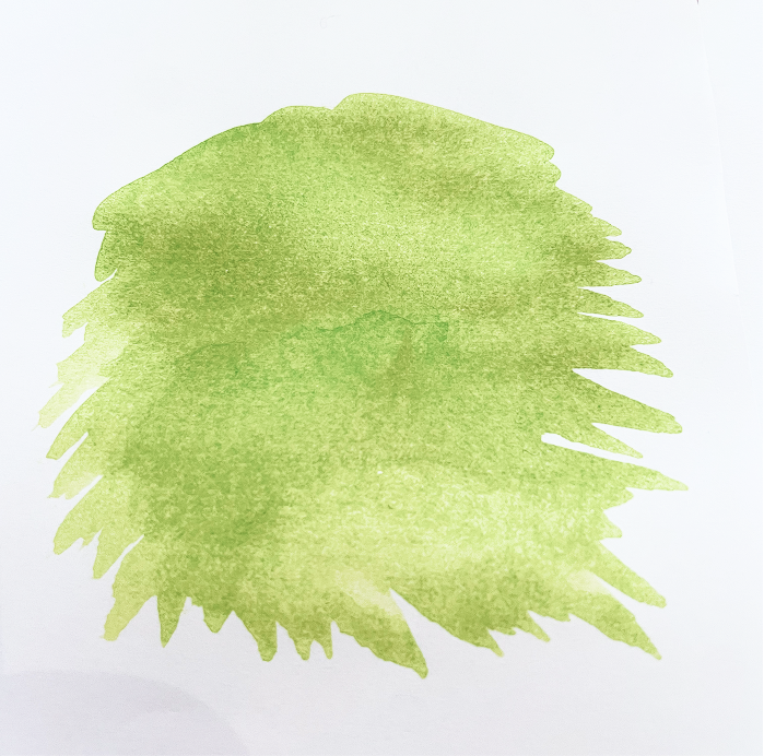 Muchi character watercolour